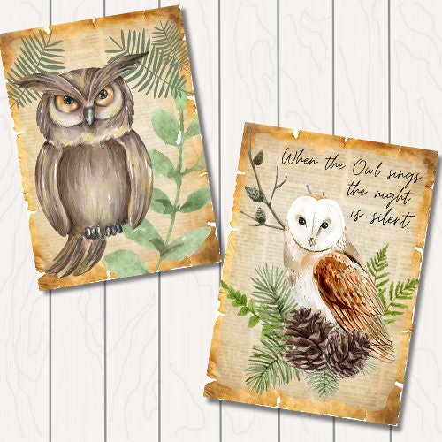 Owl Variety Printable Bundle