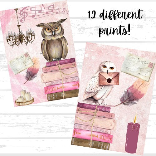 Owl Variety Printable Bundle