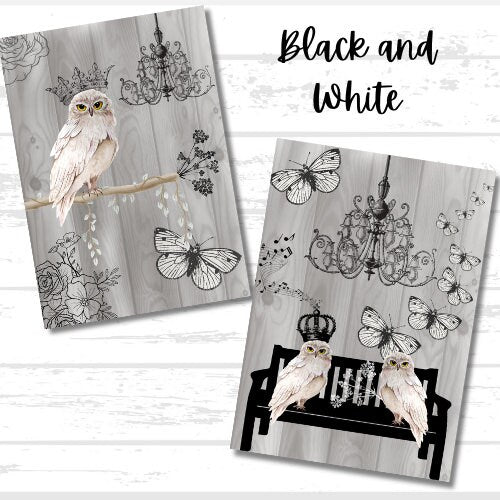 Owl Variety Printable Bundle