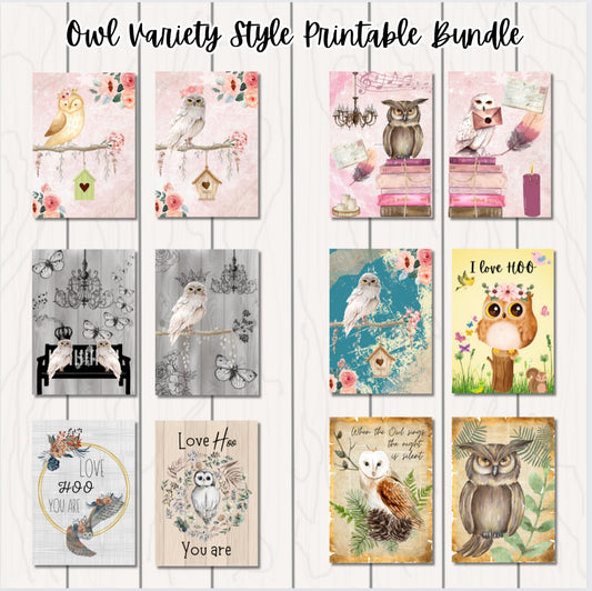 Owl Variety Printable Bundle